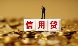 成都生意哪有个人借贷-成都生意小额贷款公司-成都生意私借空放免费上门